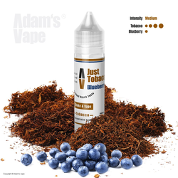 Just Tobacco Blueberry / Jemný tabák s borůvkou 10ml