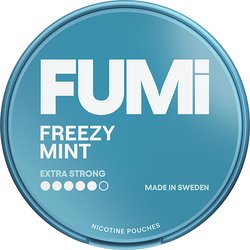 FUMI Freezy Mint - 11mg